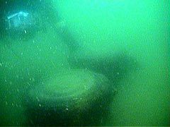 Orne Island - whale skeletons