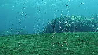 Indonesia - bubbles of the volcano Sangeang 