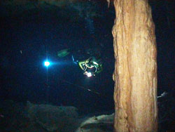 Dos Ojos, Dos Palmas