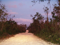 Dos Ojos, sandy road to the Cenote