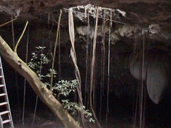 Dos Ojos, Tak Be Loom