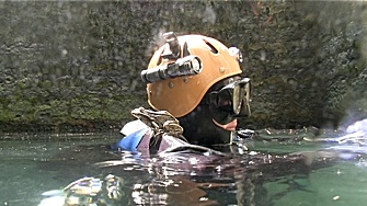 Frankreich/ Lot, Source de Landenouse - Prinz-Frosch- Kuss- Wie war das nochmal?