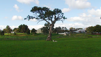 Glencoe/ Mt. Gambier, peaceful