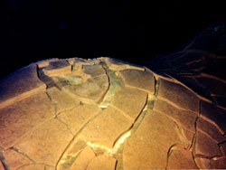 Ix-Baltun, 10 meter area