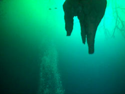 Cenote Angelita, The giant stalactite...