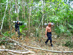 Expedition in den Urwald...