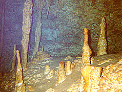 Cenote Escondido Formation...
