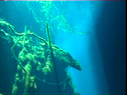 Ponderosa, after crossing the tunnel