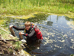 Einstieg-im Sommer besonders lecker!